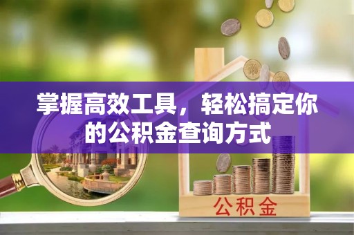 平果掌握高效工具，轻松搞定你的公积金查询方式