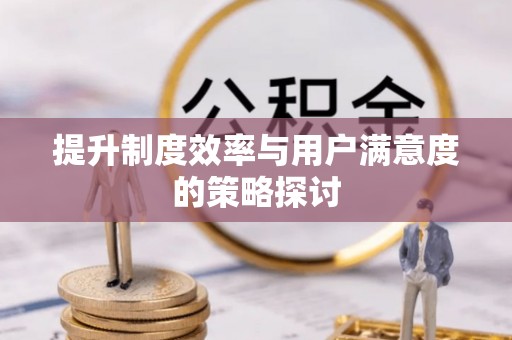 平果提升制度效率与用户满意度的策略探讨